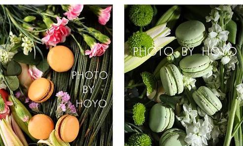 摄影素材网站如何挑选合适的图片? 摄影素材网站如何挑选合适的图片?