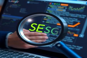 SEO神器，一网打尽排名利器！