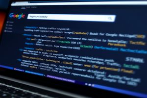 门户网站建设：规避风险，选优公司