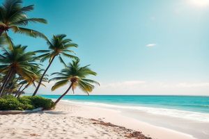 百购无忧，品质生活首选，难道不是最佳选择吗？