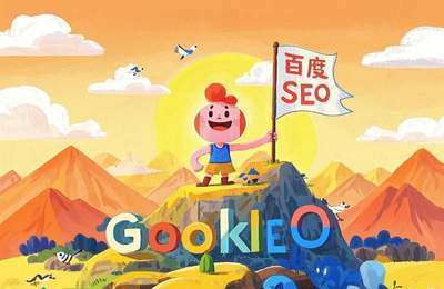 湖南岚鸿SEO诊断，专业优化，如何助您网站飞跃？